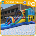 Frozen theme bounce house, backyard inflatable bouncer for sale, inflatable bouncer with slide